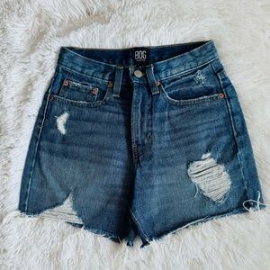 Urban Outfitters BDG Denim Shorts Ripped Sz 24